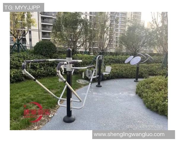 小区健身器材在提升居民健康与增强社区互动中的重要作用分析