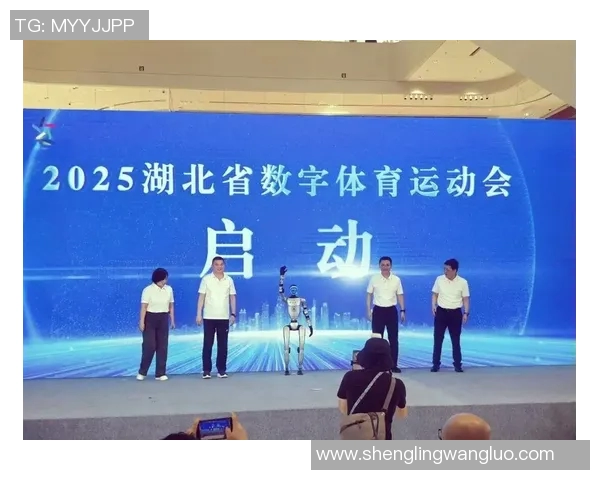 探索体育娱乐品牌官网的魅力与价值打造全新体验的数字平台