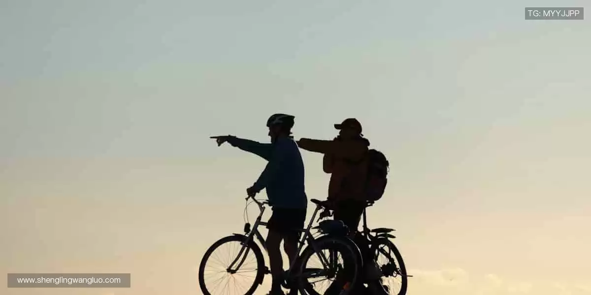 🏆【限量首发】冠军同款,专属你的荣耀珍藏!